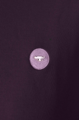هودی Buddy